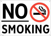 48W954 No Smoking Sign, 10 x 14In, English