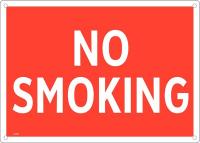 48W955 No Smoking Sign, 10 x 14In, English