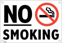 48W956 No Smoking Sign, 7 x 10In, English