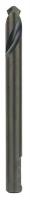 48Z568 Pilot Bit, 1/4 In