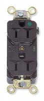 4D034 Receptacle, Duplex, Compact, 15A, 125V, BR