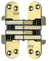 4DNN8 Hinge, Invisible, Satin Brass, 4 5/8 In