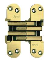 4DNP1 Hinge, Invisible, Satin Brass, 5 1/2 In