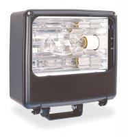 4EA37 Floodlight, HID, W/Lamp