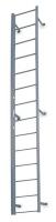 1TGY2 Fixed Ladder, 18 ft. 3 In H, Steel