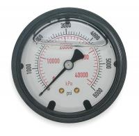 4FLP5 Pressure Gauge, Filled, 3 1/2 In, 6000 Psi