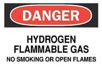4FT51 Danger No Smoking Sign, 10 x 14In, ENG