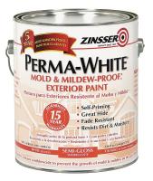 4FZX4 Paint, Alkyd Enamel, White