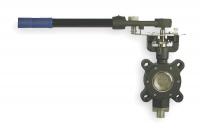 4GAL8 Butterfly Valve, Lug, 3 In, RPTFE Liner