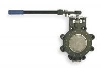 4GAM1 Butterfly Valve, Lug, 5 In, RPTFE Liner