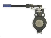 4GAM9 Butterfly Valve, 6 In, RPTFE Liner, Lever