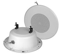 4GFG5 Beam Mount Speaker