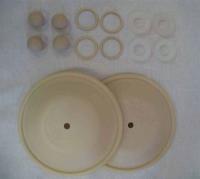 4GGG8 Elastomer Kit, for 1/2 In Poly/Santo Pump