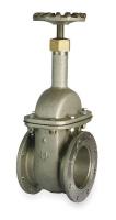 4HCJ3 Gate Valve, Class 125, 3 In.