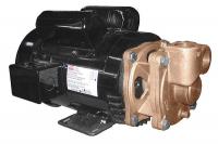 4JPE6 Turbine Pump, 1 1/2 HP, 1 Ph, 13.5/6.7 Amp