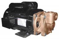 4JPE8 Turbine Pump, 2 HP, 1 Ph, 16.6/8.3 Amp