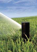 4JY64 Pop-Up Rotor Sprinkler Head, Plastic