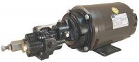 4KHE9 Rotary Gear Pump, Cast Iron, 2 HP, 3 Ph