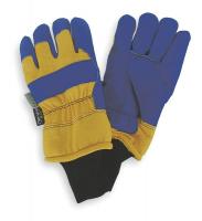4NHA7 Cold Protection Gloves, L, Blue/Yellow, PR
