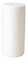 4PCD4 Filter Cartridge, 25 Microns, 9 3/4 In L