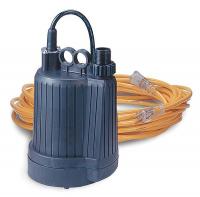 4PHL6 Water Pump, Electric, 110 V