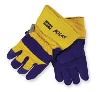 4JC96 Cold Protection Gloves, L, Blue/Yellow, PR
