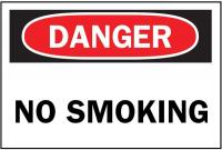 4T675 Danger No Smoking Sign, 10 x 14In, ENG