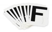 4T749 Letter Identification Card, F, PK 10