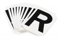 4T762 Letter Identification Card, R, PK 10
