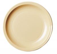 4UKN9 Plate, Dia. 5 1/2, PK 48