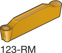 4UTU5 Carbide Pro Insert, N123J1-0600-RM 1125