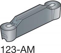 4UTW9 Carbide Profile Insert, N123J2-0600-AMH10