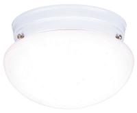 4UZJ7 Fixture, Light, White, Wh Glass Lens