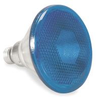 1E033 Incandescent Sealed Beam Lamp, PAR38, 150W