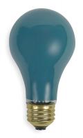 4V829 Incandescent Light Bulb, A19, 25W