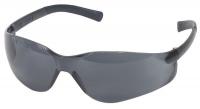 4VCH2 Safety Glasses, Gray, Antifog