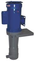 4VYE6 Pump, Vertical, 3/4HP, 230V