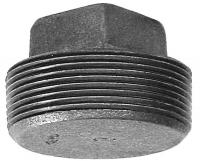 4WJH2 Square Head Plug, 1/8 In, NPT, Black Iron