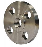 4WPU9 Flange, 1-1/4 In, Threaded, 304 SS