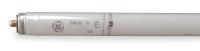 3DXN5 Fluorescent Lamp, T8, Very Cool, 5000K