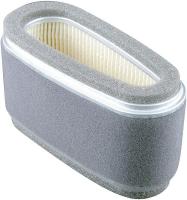 4ZWG7 Air Filter, Element/Oblong, PA4769