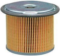 4ZEG7 Fuel Filter, Element, PF7817