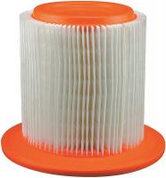 4ZJG1 Air Filter, Element, PA4089