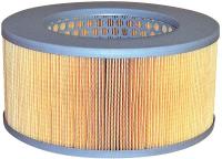 4ZPK6 Air Filter, Element, PA4781