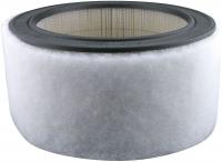 4ZRJ7 Air Filter, Element, PA2110