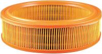 4ZTG1 Air Filter, Element, PA2878
