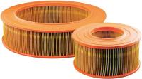 4ZPX8 Air Filter, Element/Set of 2, PA2980