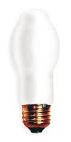 4ZY51 Halogen Light Bulb, BT14.5, 60W