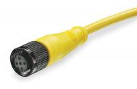 5AA66 Cord Set, 3 Pin, Female, Straight, 6.5 Ft, 4A