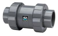 5AAW0 Check Valve, 6 In, Flanged, CPVC